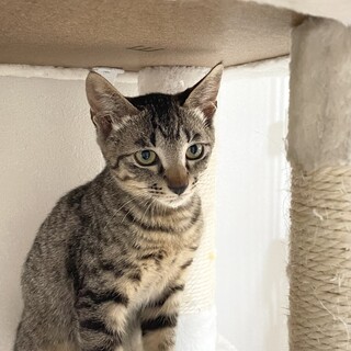 大人しくて少し怖がりな男の子⟡.·