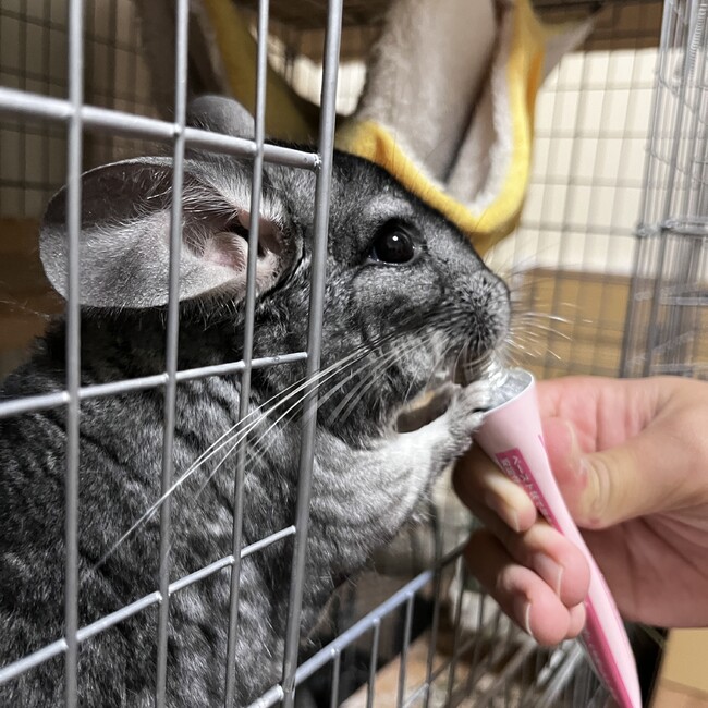 kao0610のカバー写真