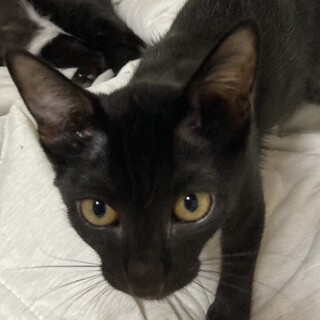 元気な男の子⭐︎