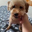 里親ｻﾏ決定しました