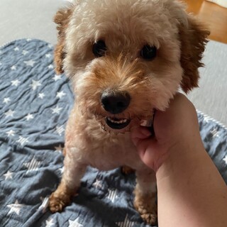 里親ｻﾏ決定しました