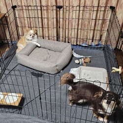 「日常のひとコマ」サムネイル1