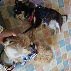 「日常のひとコマ」サムネイル2