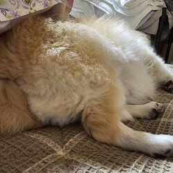 「日常のひとコマ」サムネイル3