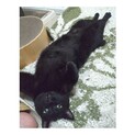 【最終】おとな甘えんぼうのケイちゃん♡お見合い随時