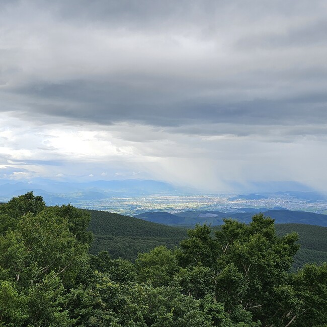 駄菓子屋 九頭龍のカバー写真