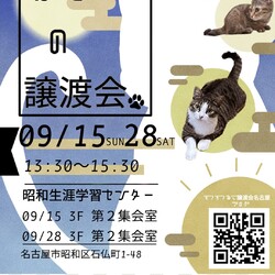 猫の譲渡会　in　名古屋市昭和生涯学習センター サムネイル1