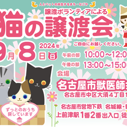 猫の譲渡会☆大須商店街近く
