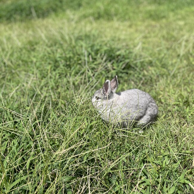 チャッピー⭐︎のカバー写真