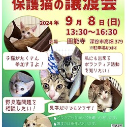 ～保護猫譲渡会～Byもひかん王国