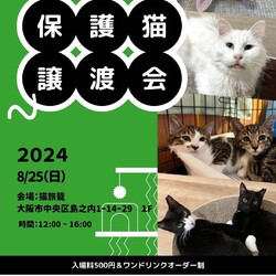 保護猫譲渡会