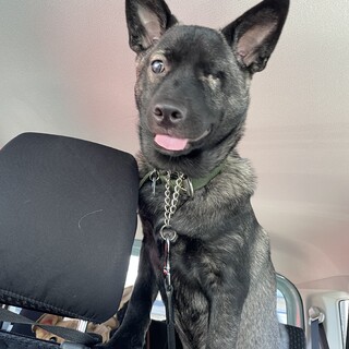 【募集停止中】ぽっちゃりムチムチ武蔵 