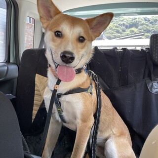 みこと 超絶ビビりです