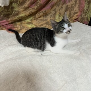 小顔過ぎるヨティに会いに寄ってぃね♪