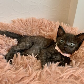 魅力がいっぱい♡天真爛漫な可愛い子