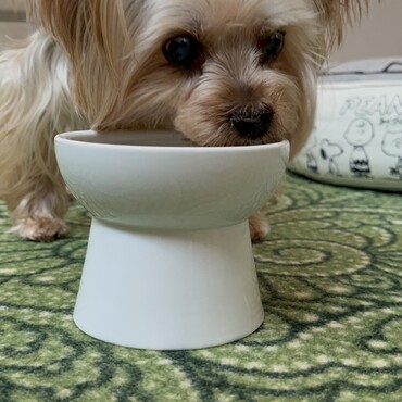 ごはんを食べるのが少し下手になりました