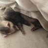 えりつぃん♡
