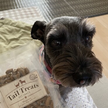 しなもんさん11才直前