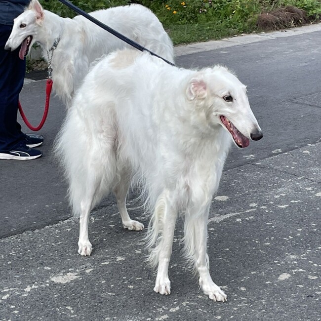 sunsunhappyのカバー写真