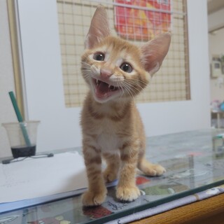 8/25荒川区西尾久参加 太陽くん