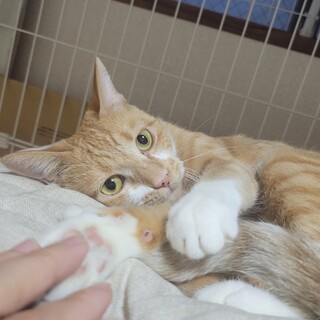 9/1さいたま市岩槻 　エラちゃん