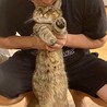 お髭ぐりぐりも嫌ではない様子
