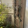 ブドウの植木はむぎにとってジャングルジム