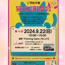第15回猫の譲渡会 at 湯河原町