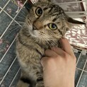 良いことがめぐってきますように！環（たま）ちゃん