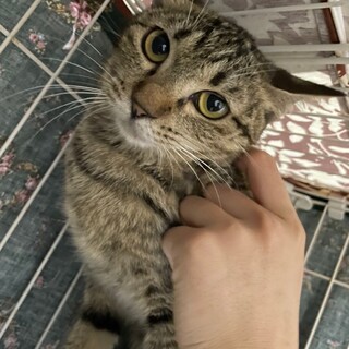 良いことがめぐってきますように！環（たま）ちゃん