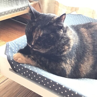 葵ちゃん、まだまだ暑いけどお日様パワーチャージしよう？