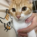 ふみお