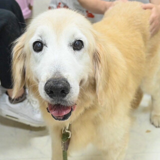 一気に若返った美魔女ゴールデン！さつき