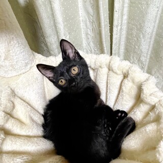 6兄妹♡ごろごろ穏やか♡こばちゃん