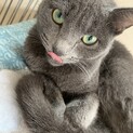 ウールサックにご理解ある方。(再掲)
