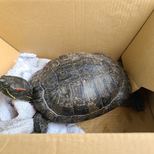 ぽち幸町のカバー写真