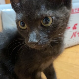 お出迎えが得意なマー坊❤️