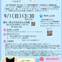ワークショップ「トキメキバスボブをつくろう」&保護猫譲渡会 サムネイル3