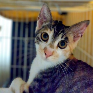 新たなご家族ができました♪