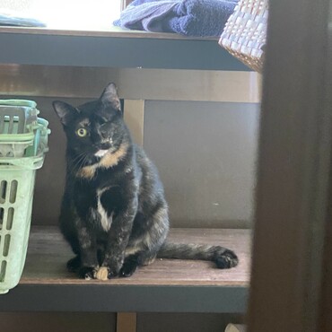 の写真