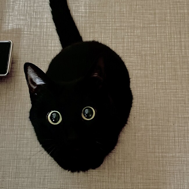 まーくん3のカバー写真