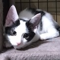 少しビビりのフゥ君