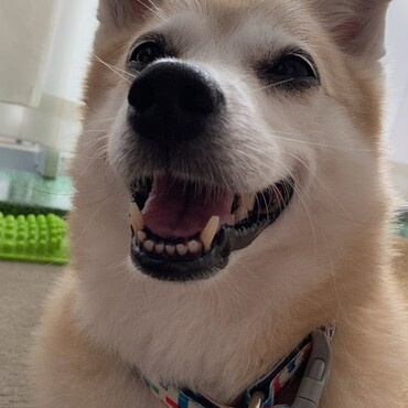 の写真