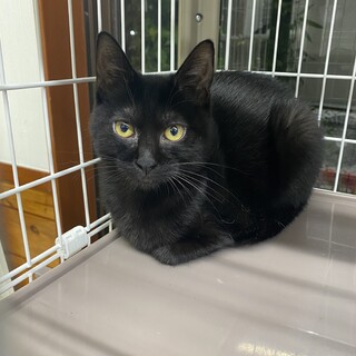 キュートなBaby♡ルーシィー