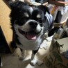 takayuki123456