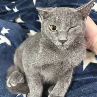 兄弟で素敵な家族が見つかりました⭐︎シュー君