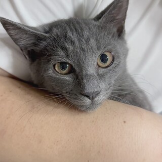 兄弟で素敵な家族が見つかりました