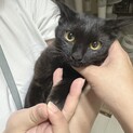 素敵なご家族に迎えていただけました
