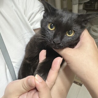 素敵なご家族に迎えていただけました
