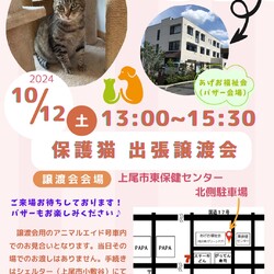 保護猫　出張譲渡会＠あふこバザー＆つどい サムネイル1